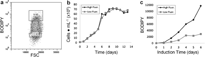 Fig. 3