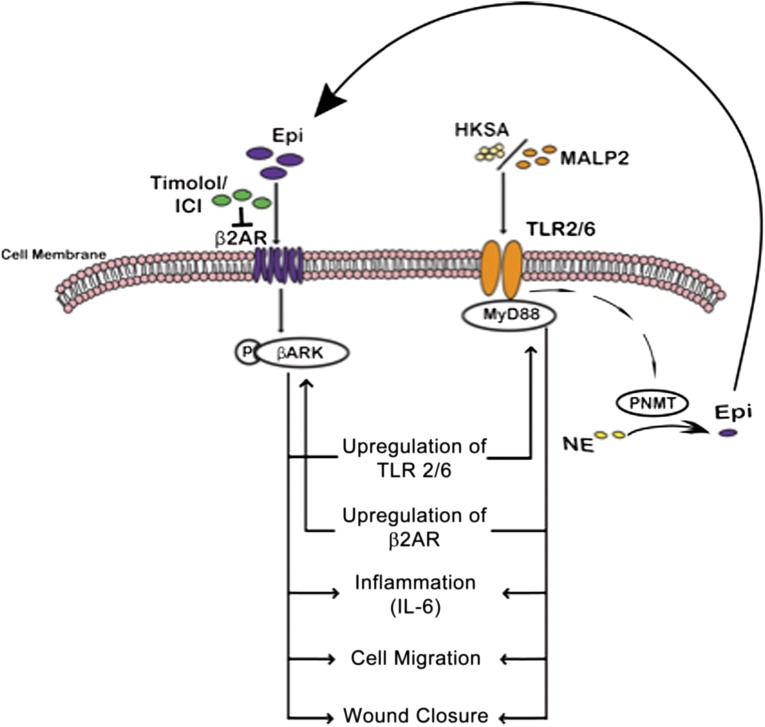 Figure 7.