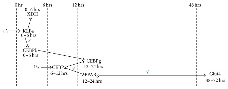 Figure 7