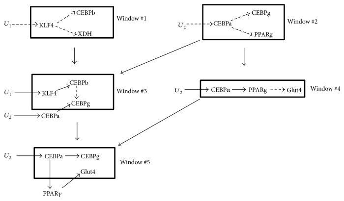 Figure 6