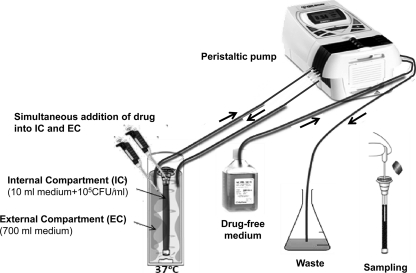 Fig 1