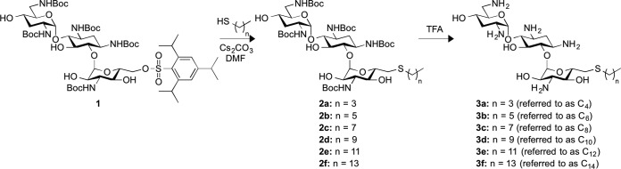 FIG 1