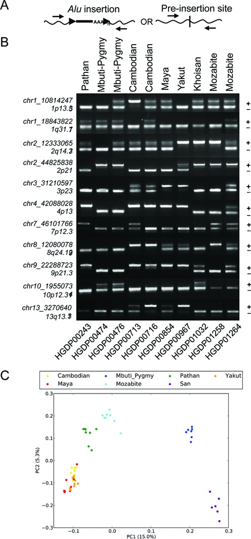 Figure 4.