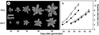 Figure 5.