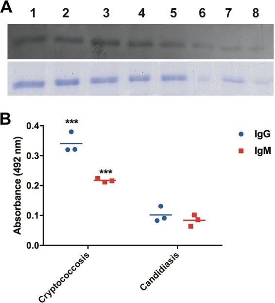 FIG 1 