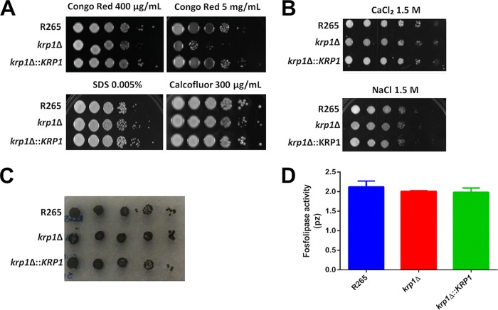 FIG 3 