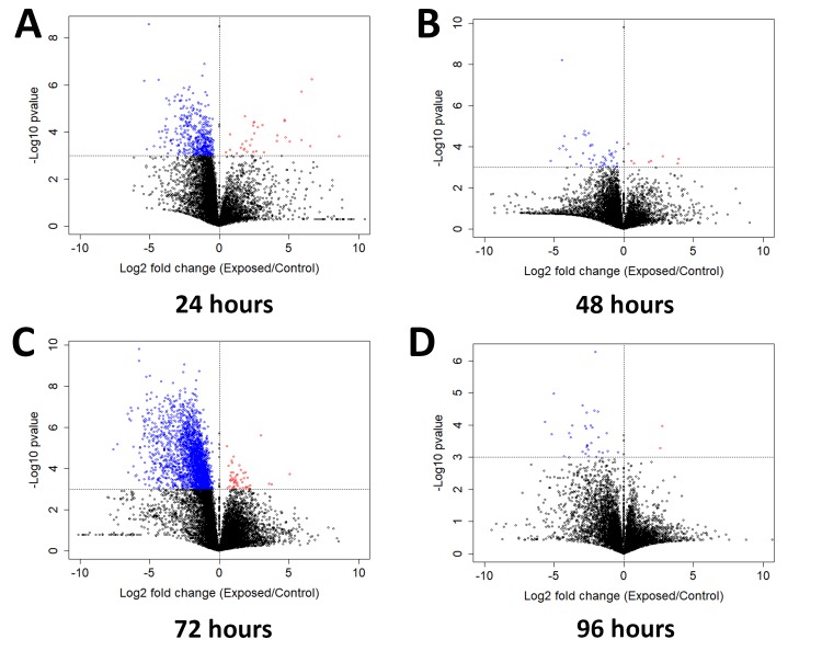 Figure 4—figure supplement 2.