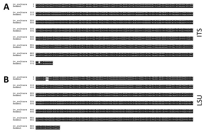 Figure 1—figure supplement 2.