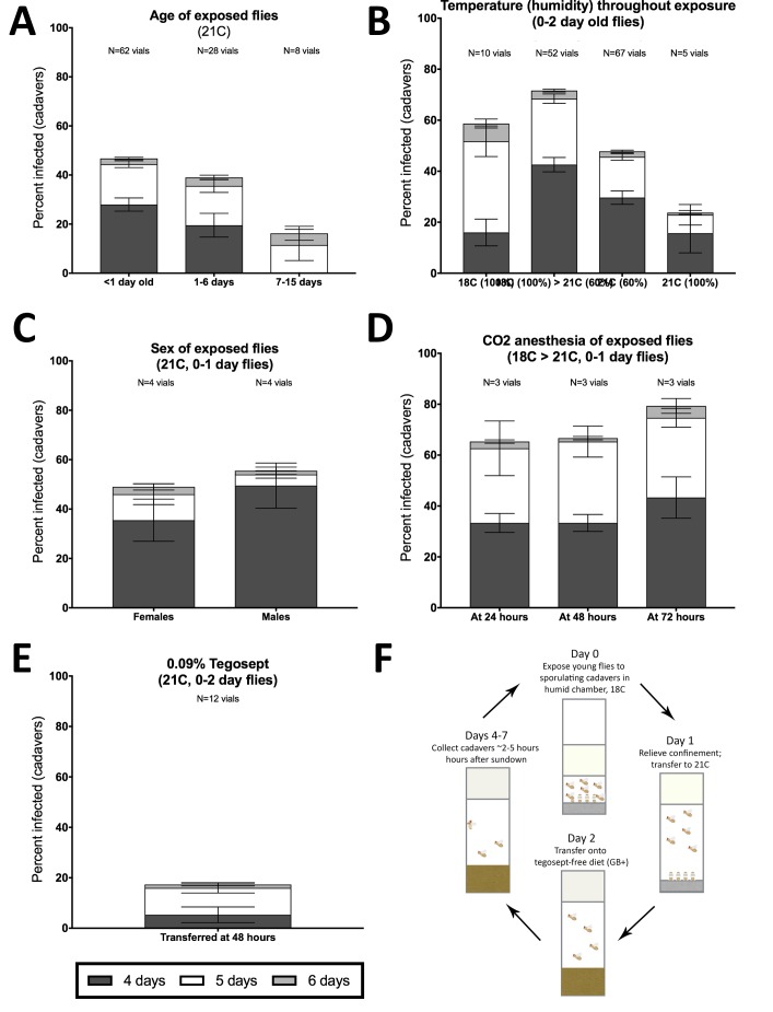 Figure 2—figure supplement 1.