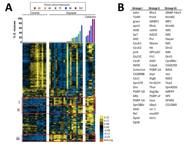 Figure 4—figure supplement 3.