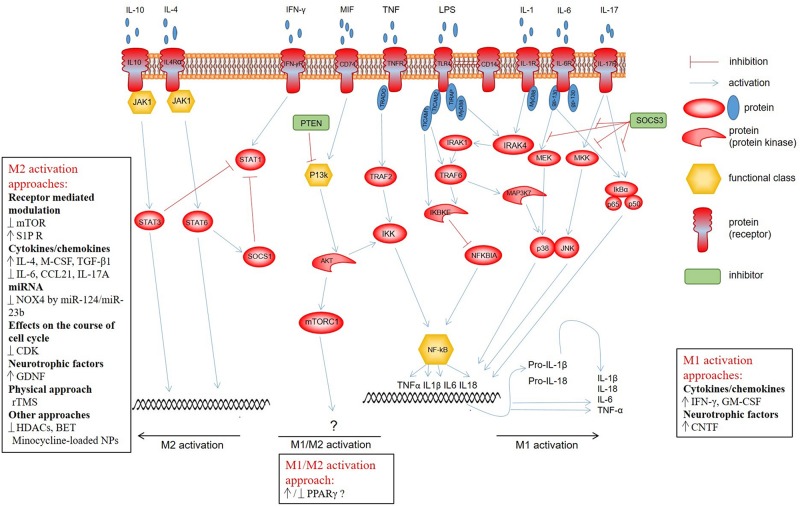 FIGURE 1