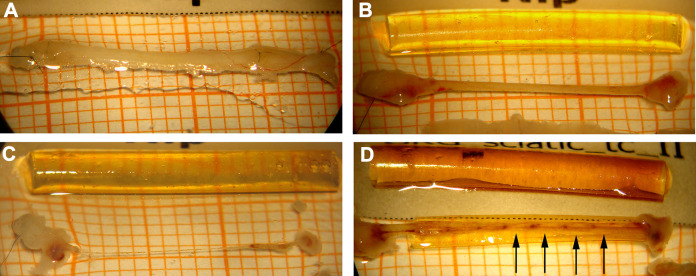 Fig 3.