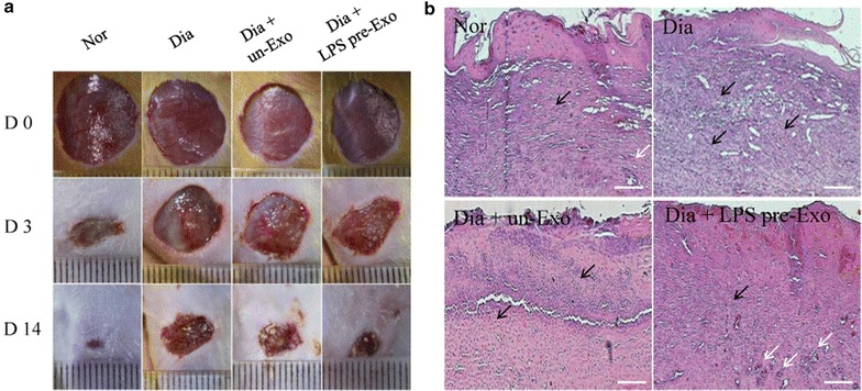 Fig. 7