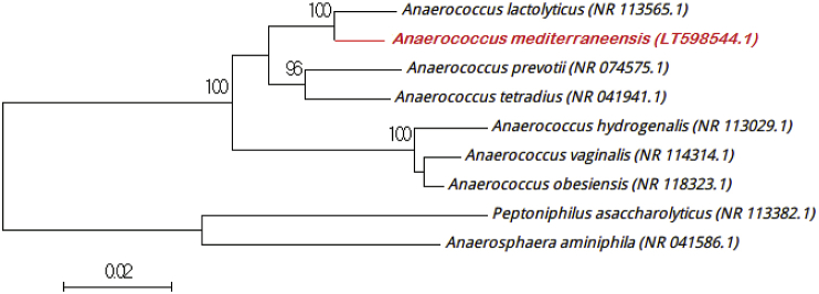 Fig. 1