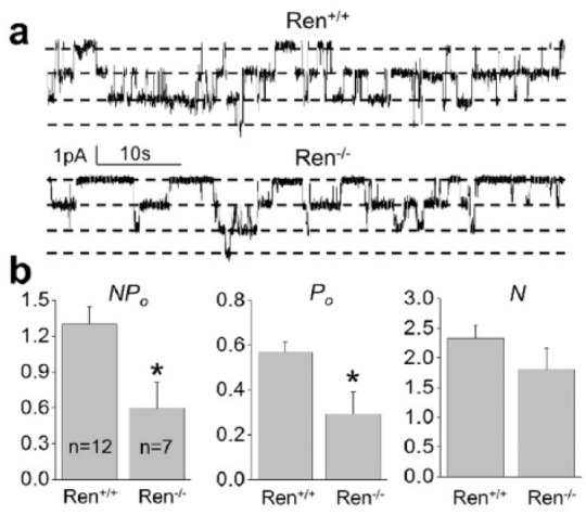 Figure 5.