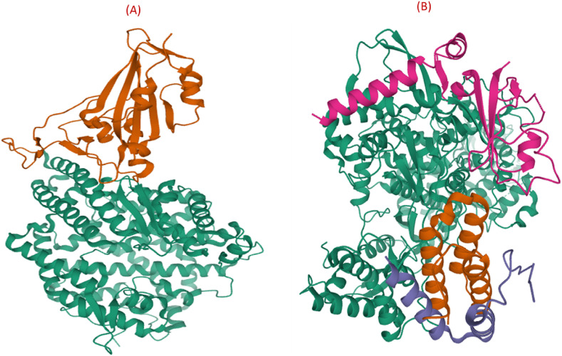 Fig. 7