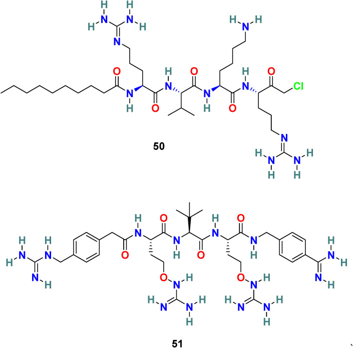 Fig. 12