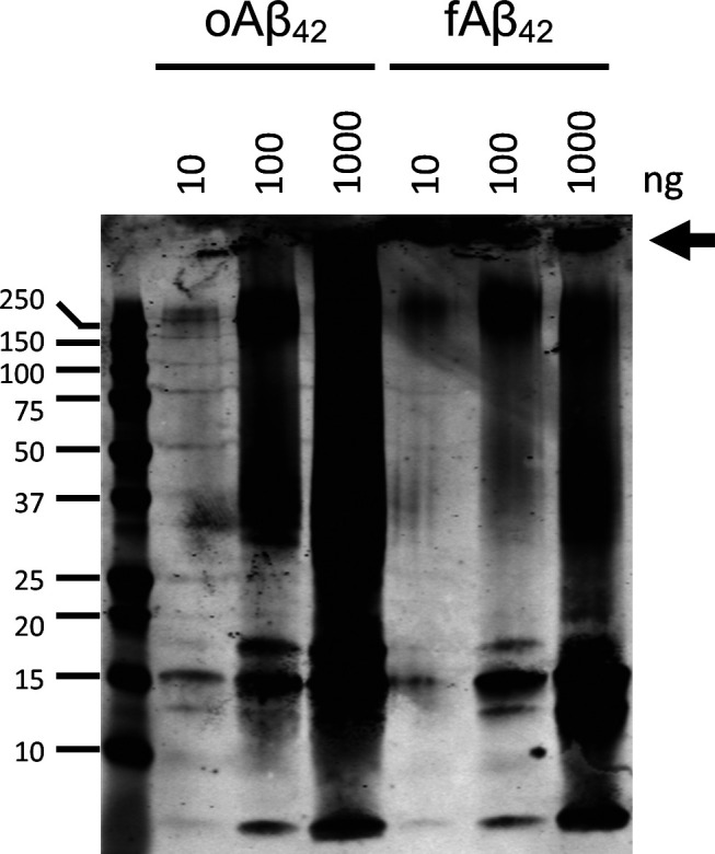 Figure S1.