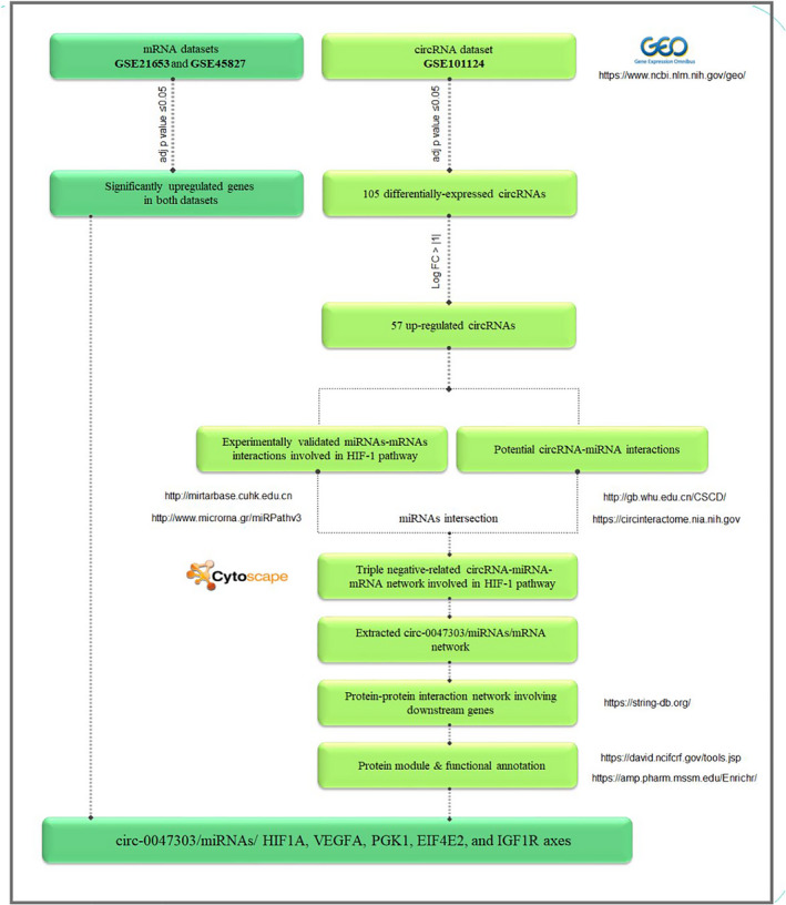 FIGURE 1