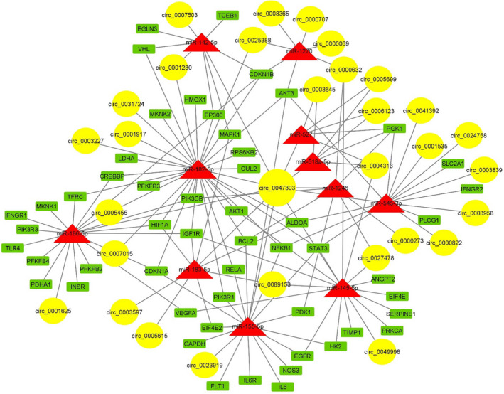 FIGURE 3