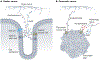 Fig. 5 |