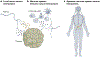 Fig. 4 |