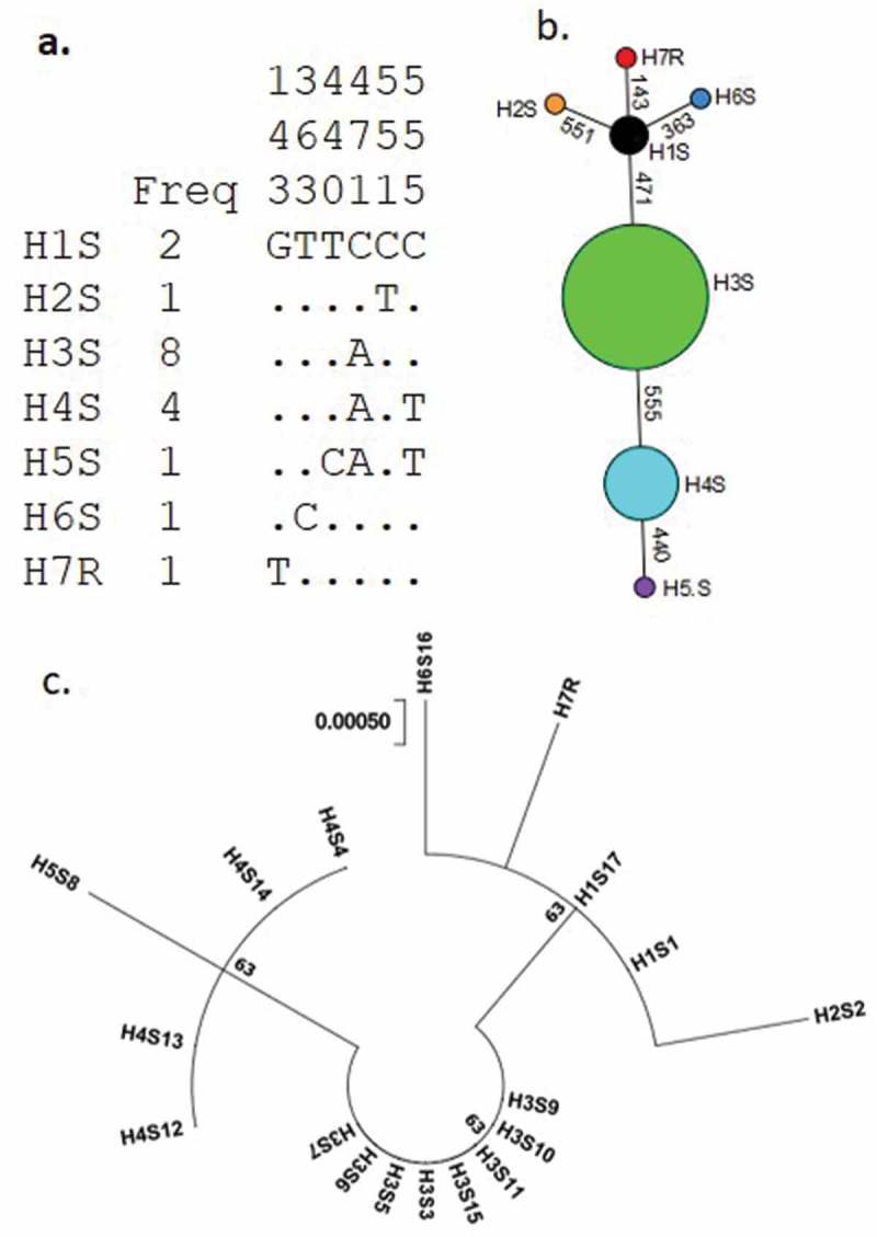 Figure 5.