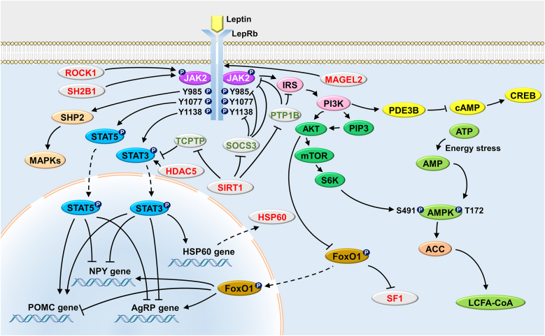 Figure 2: