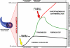 Figure 10