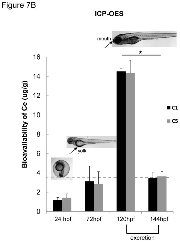 Figure 7