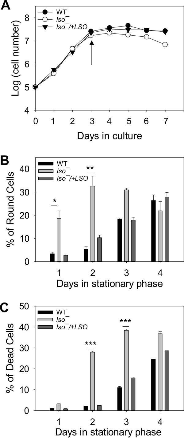 FIG 3