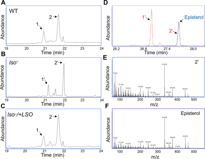 FIG 2