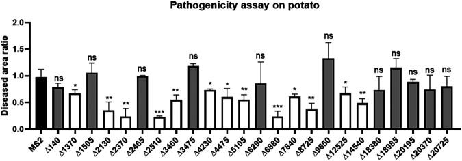 FIG 10