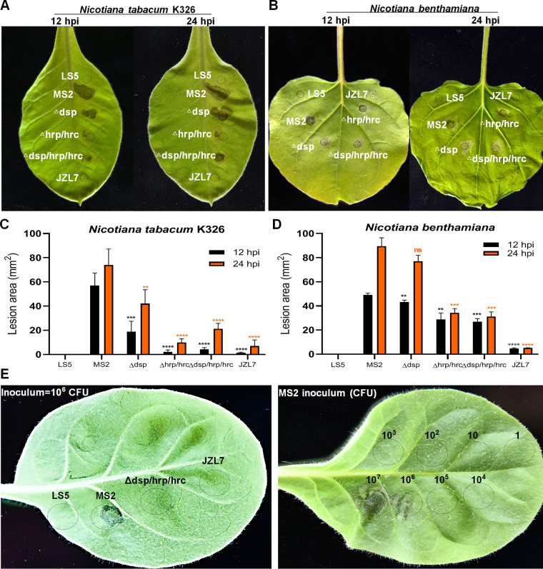 FIG 6