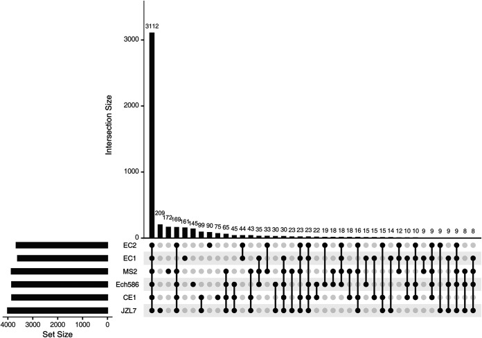 FIG 4