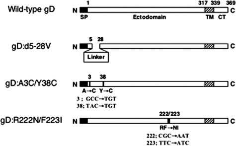 FIG. 2.