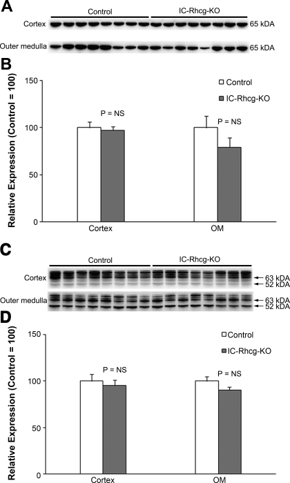 Fig. 9.