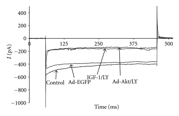 Figure 8