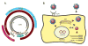 Fig 1
