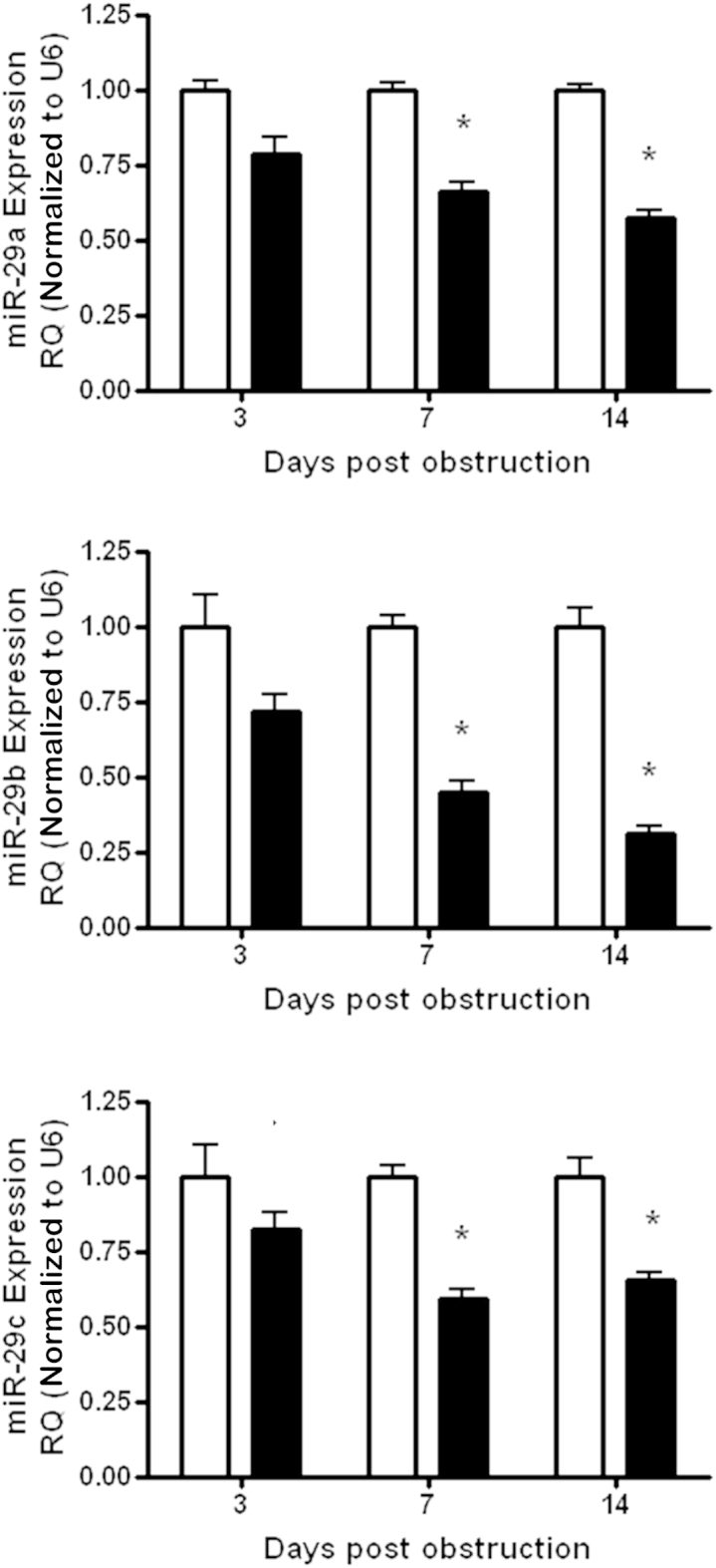 Figure 6