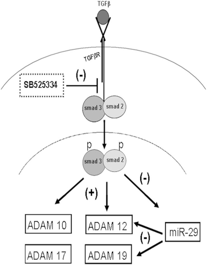 Figure 10