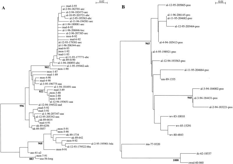 FIG. 3