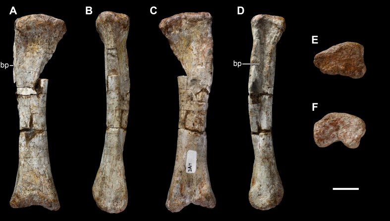 Figure 25