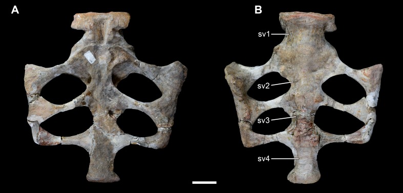 Figure 14