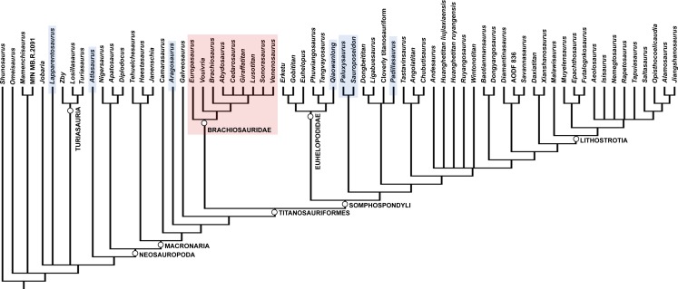 Figure 39