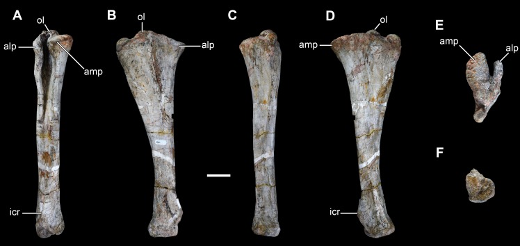 Figure 20