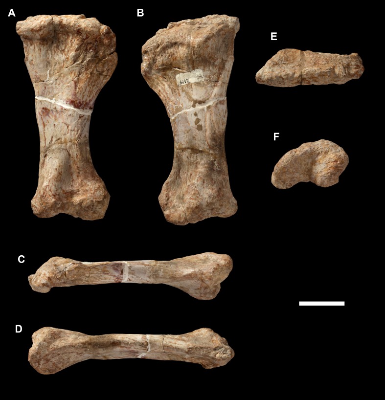 Figure 38