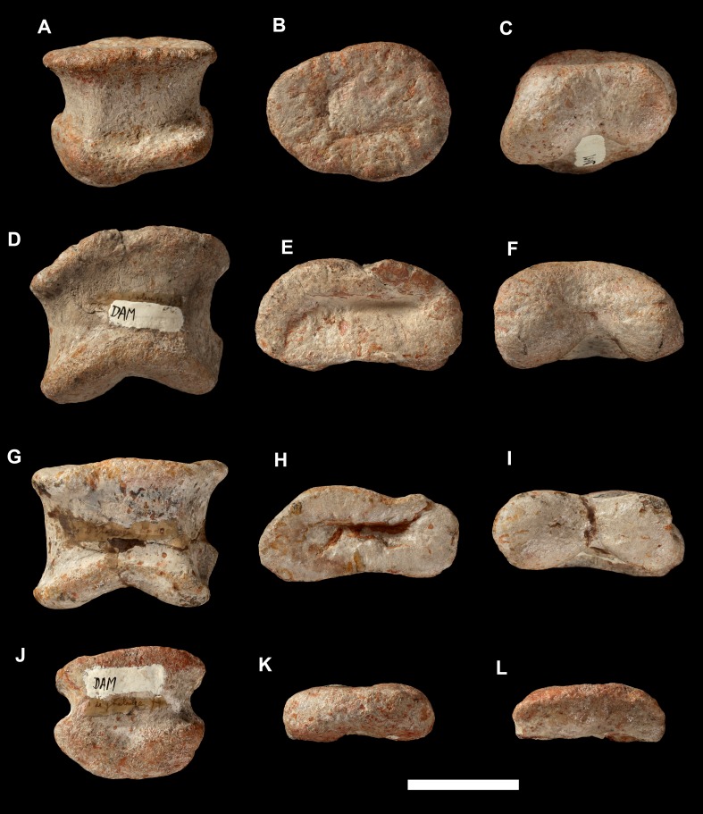 Figure 28