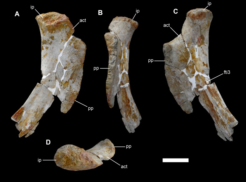 Figure 31