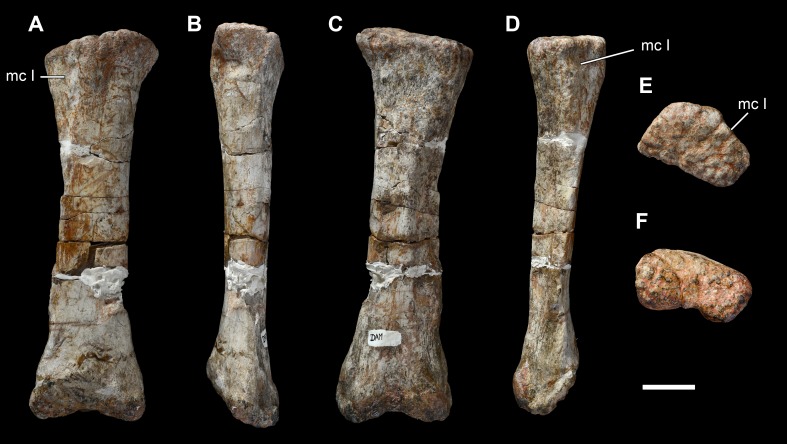 Figure 24